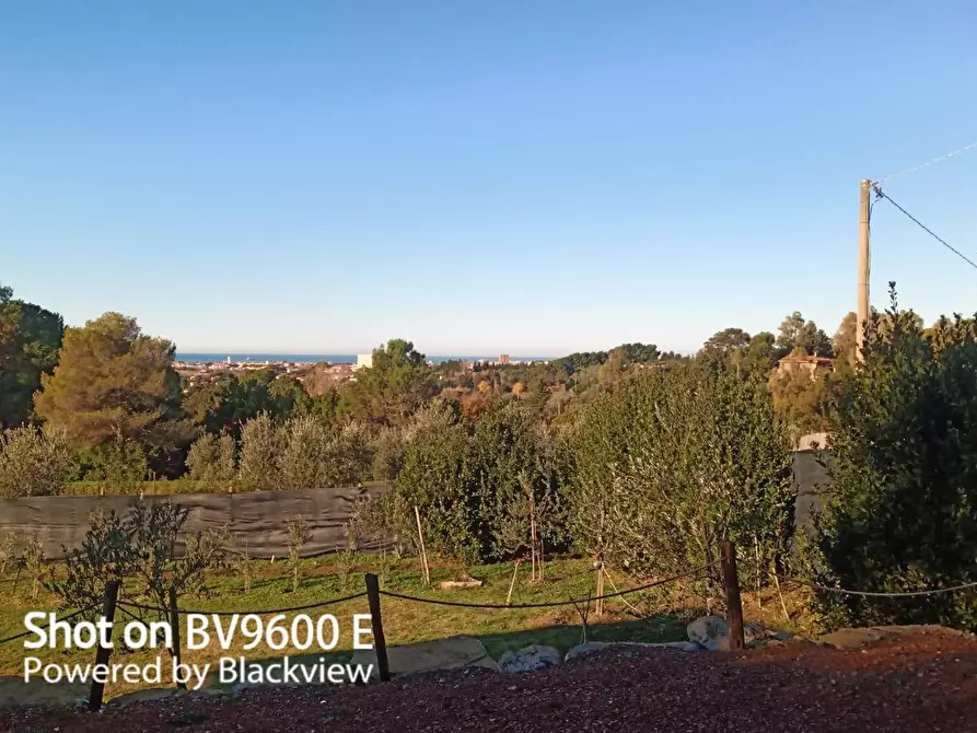 Immagine 6 di Terreno agricolo in vendita  in Via Dello Gore a Livorno