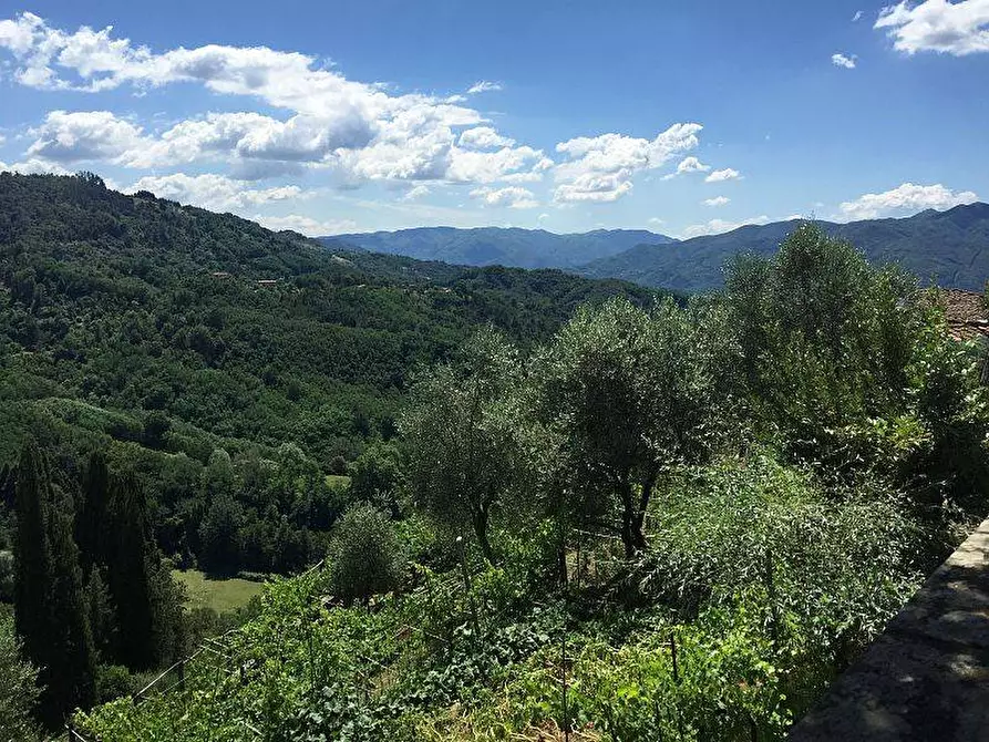 Immagine 1 di Terreno agricolo in vendita  in Via Valtriano a Fauglia