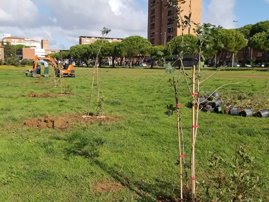 Immagine 1 di Attività commerciale in vendita  in Piazza Sforzini a Livorno