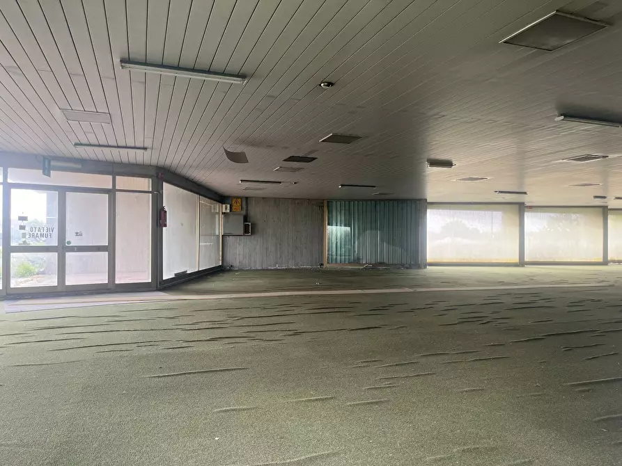 Immagine 3 di Attività commerciale in affitto  in via delle colline a Fauglia