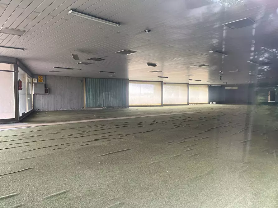 Immagine 4 di Attività commerciale in affitto  in via delle colline a Fauglia