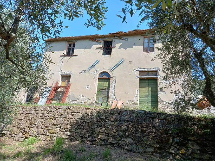 Immagine 1 di Casa indipendente in vendita  in Viale Giacomo matteotti a Vicopisano