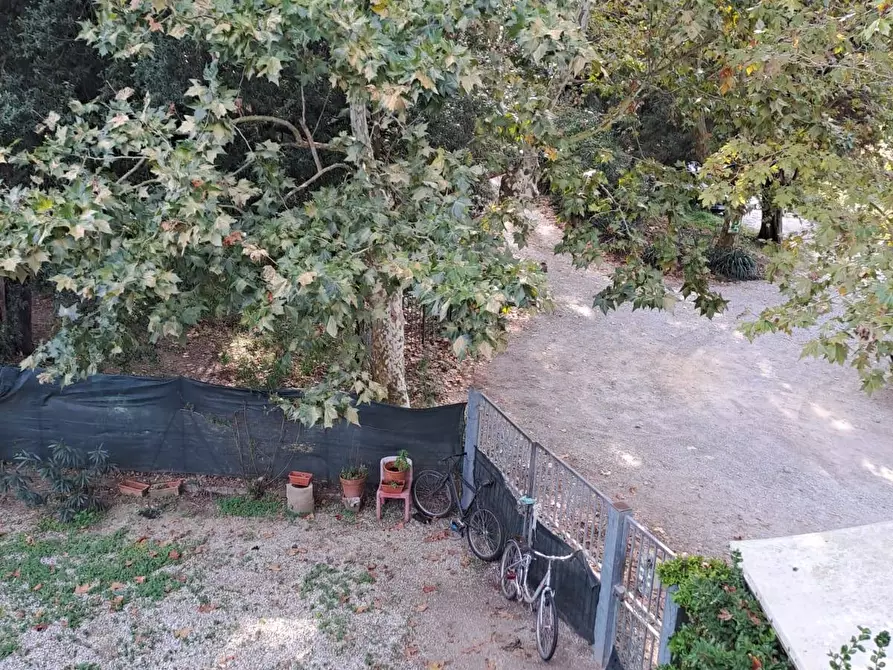 Immagine 5 di Appartamento in vendita  in Via Pisana Livornese Nord a Collesalvetti