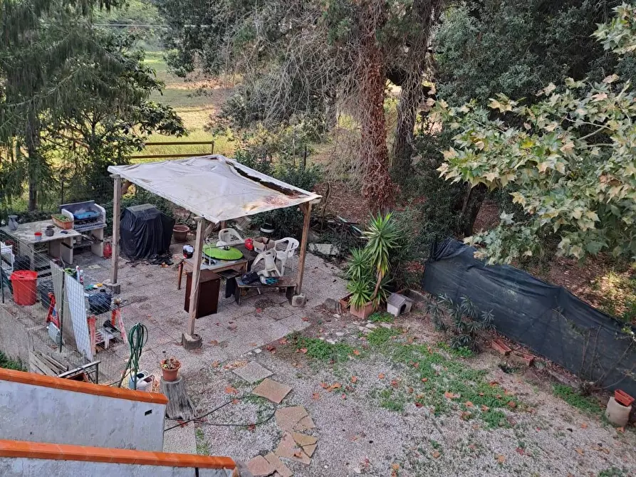 Immagine 4 di Appartamento in vendita  in Via Pisana Livornese Nord a Collesalvetti