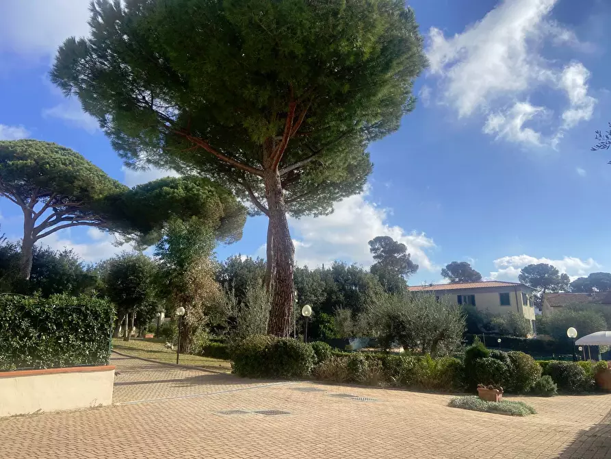 Immagine 6 di Appartamento in affitto  in Via Del Rosmarino a Livorno