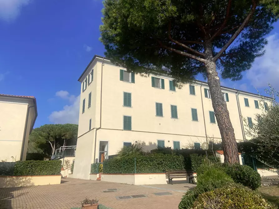 Immagine 9 di Appartamento in affitto  in Via Del Rosmarino a Livorno