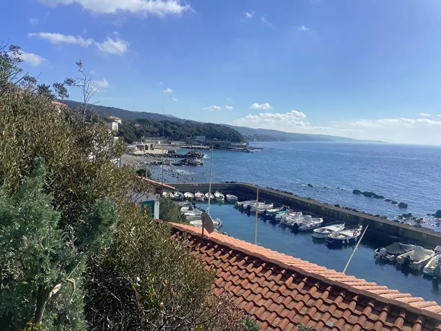 Immagine 22 di Appartamento in affitto  in Via Del Rosmarino a Livorno