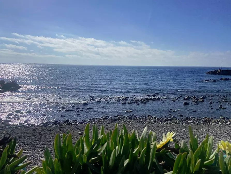 Immagine 25 di Appartamento in affitto  in Via Del Rosmarino a Livorno