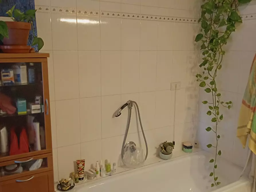 Immagine 18 di Villetta a schiera in vendita  in porcari a Porcari