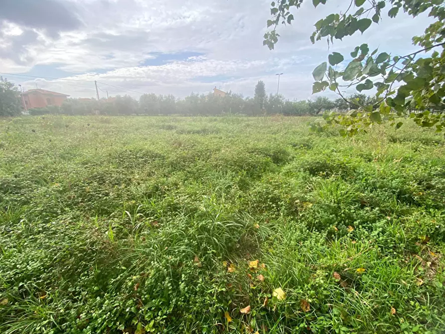 Immagine 2 di Terreno agricolo in vendita  in via di mezzo sud a Cascina