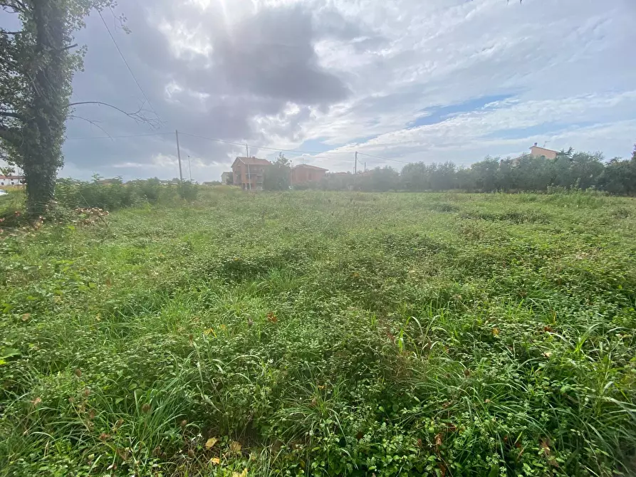 Immagine 3 di Terreno agricolo in vendita  in via di mezzo sud a Cascina