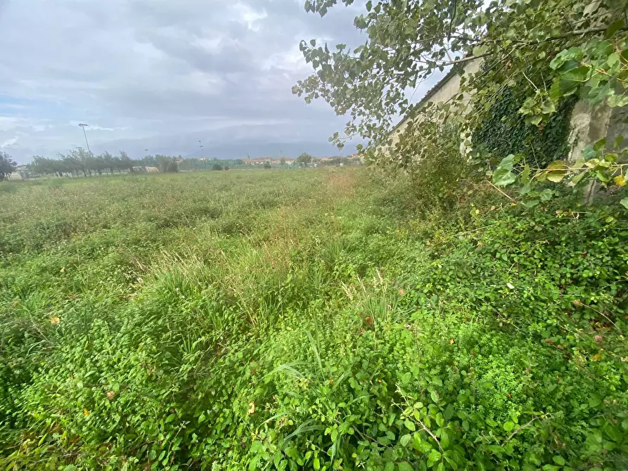 Immagine 5 di Terreno agricolo in vendita  in via di mezzo sud a Cascina