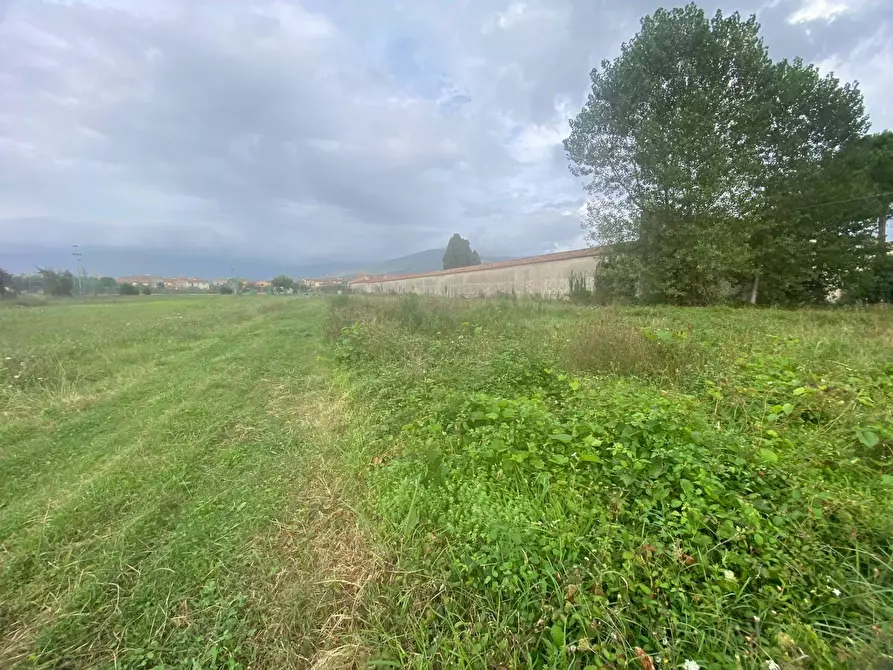 Immagine 6 di Terreno agricolo in vendita  in via di mezzo sud a Cascina