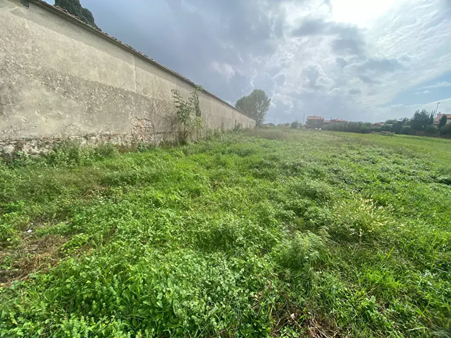 Immagine 7 di Terreno agricolo in vendita  in via di mezzo sud a Cascina