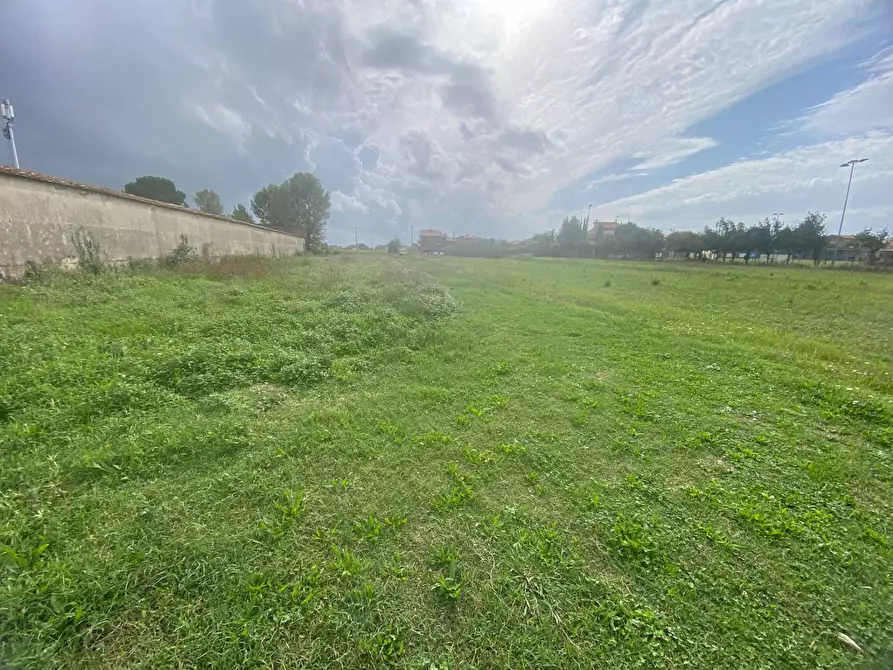 Immagine 8 di Terreno agricolo in vendita  in via di mezzo sud a Cascina