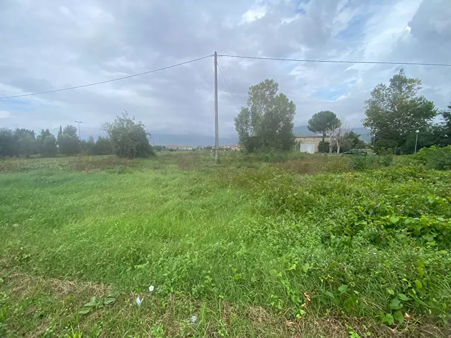 Immagine 10 di Terreno agricolo in vendita  in via di mezzo sud a Cascina