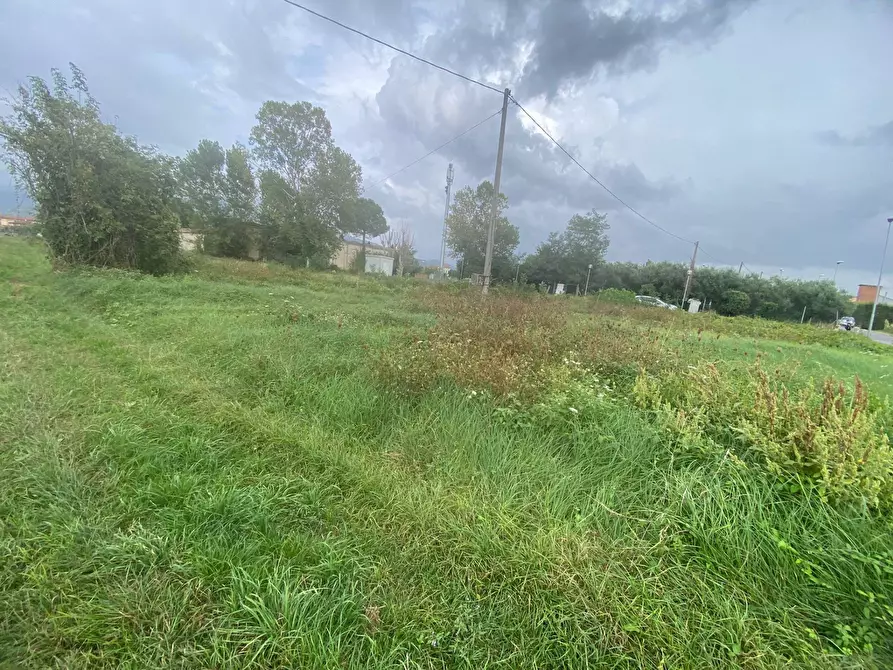 Immagine 11 di Terreno agricolo in vendita  in via di mezzo sud a Cascina