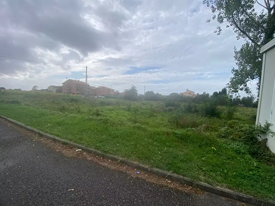 Immagine 12 di Terreno agricolo in vendita  in via di mezzo sud a Cascina