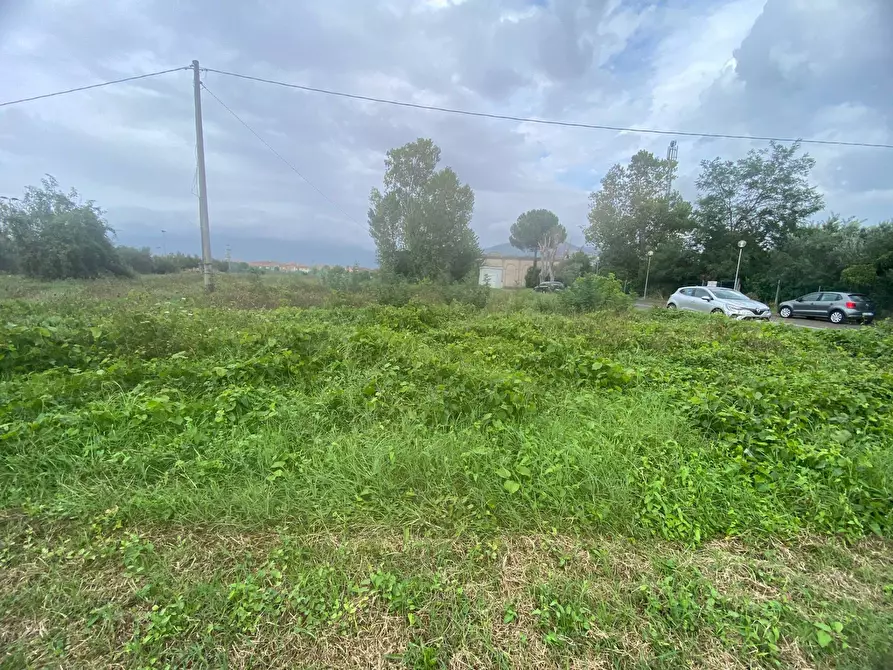 Immagine 13 di Terreno agricolo in vendita  in via di mezzo sud a Cascina