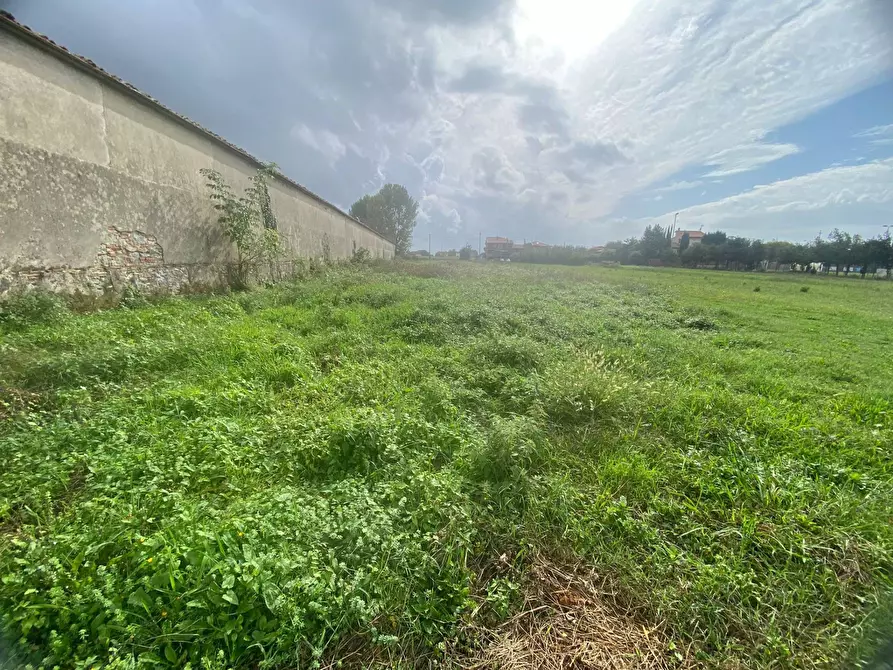 Immagine 14 di Terreno agricolo in vendita  in via di mezzo sud a Cascina