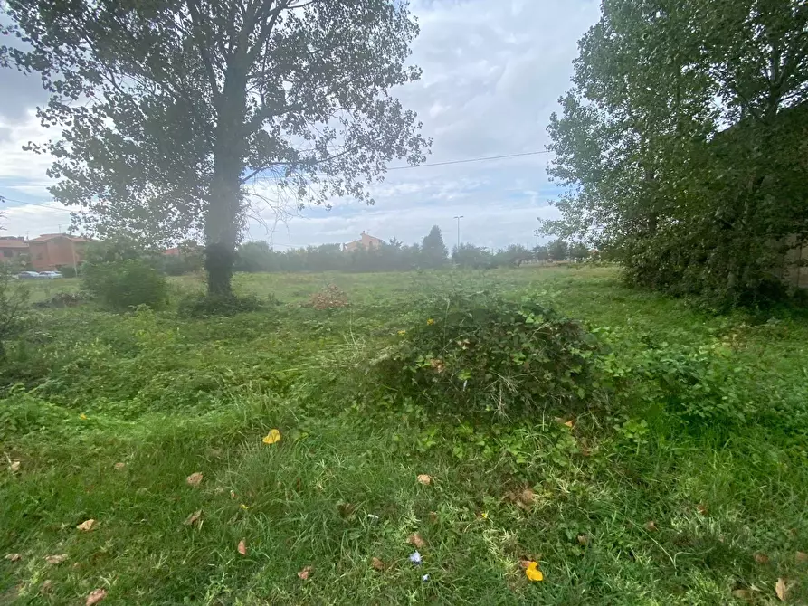 Immagine 15 di Terreno agricolo in vendita  in via di mezzo sud a Cascina