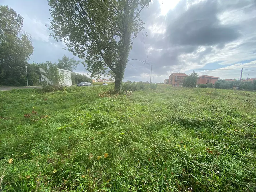 Immagine 16 di Terreno agricolo in vendita  in via di mezzo sud a Cascina