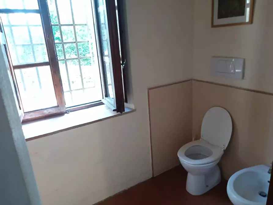 Immagine 13 di Villetta a schiera in vendita  in CAMPORGIANO a Camporgiano