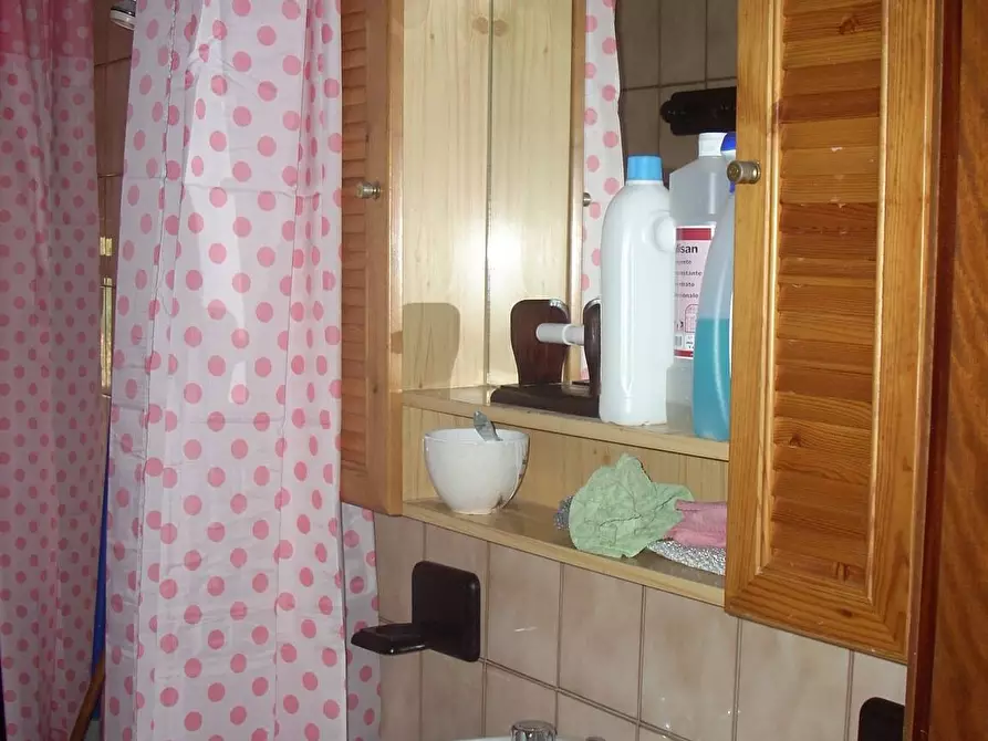 Immagine 6 di Appartamento in affitto  in Via Delle Lenze a Pisa