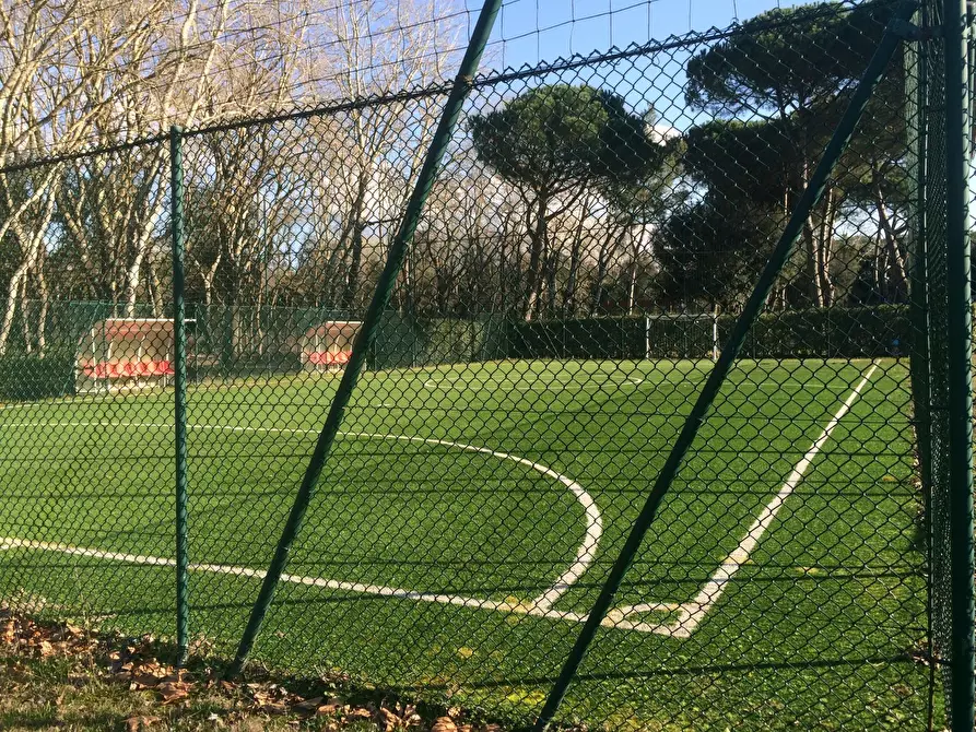 Immagine 3 di Attività commerciale in vendita  in Viale Del Tirreno a Pisa