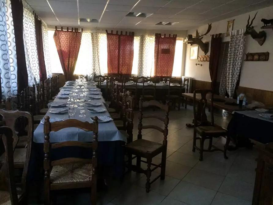 Immagine 1 di Attività commerciale in vendita  in Viale Del Tirreno a Pisa