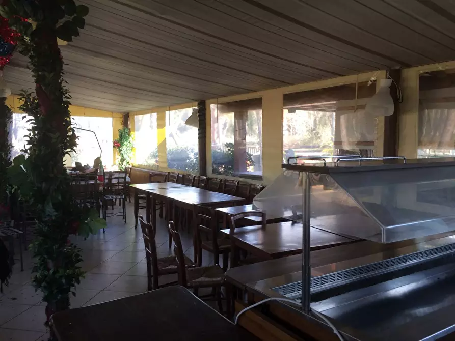 Immagine 9 di Attività commerciale in vendita  in Viale Del Tirreno a Pisa