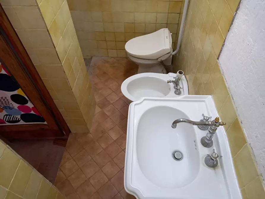 Immagine 30 di Appartamento in affitto  in Via Siberia a Crespina Lorenzana