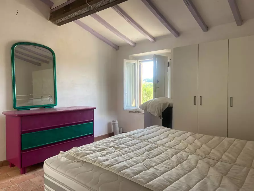 Immagine 22 di Appartamento in affitto  in Via Siberia a Crespina Lorenzana