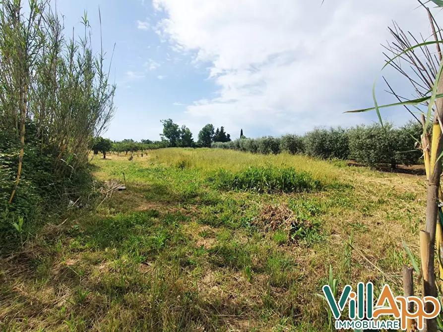 Immagine 1 di Terreno agricolo in vendita  in Via fontanelle San marco a Fondi