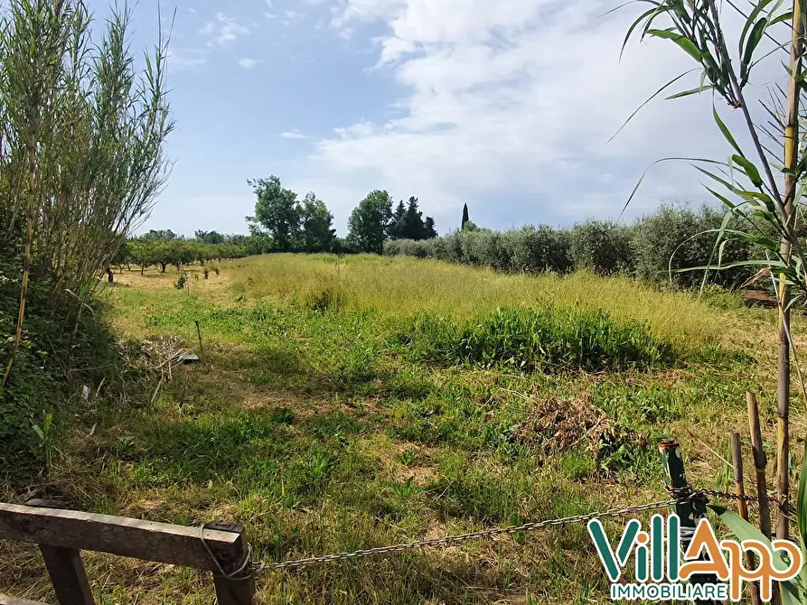 Immagine 4 di Terreno agricolo in vendita  in Via fontanelle San marco a Fondi