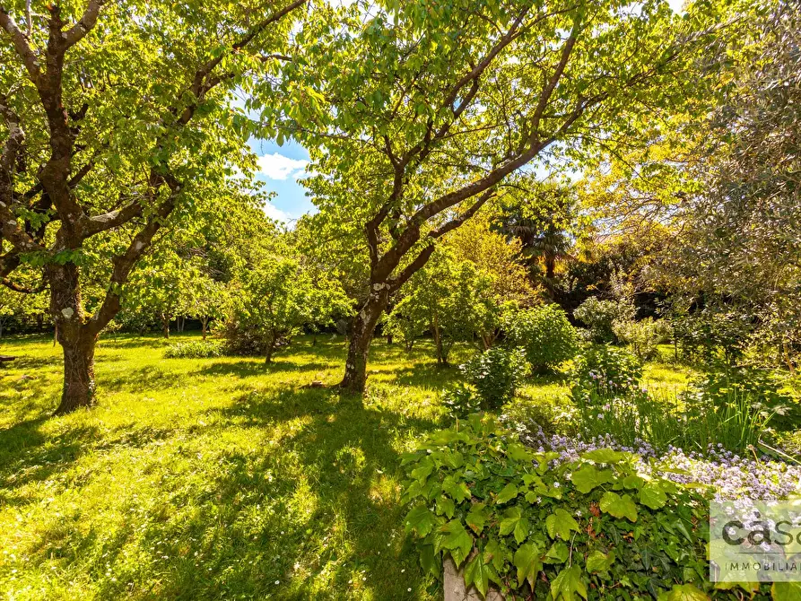 Immagine 4 di Villa in vendita  in Via Catullo a Varese