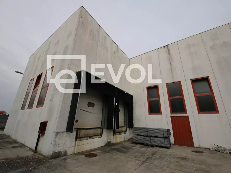 Immagine 7 di Capannone industriale in affitto  in via del Industria a Gorizia
