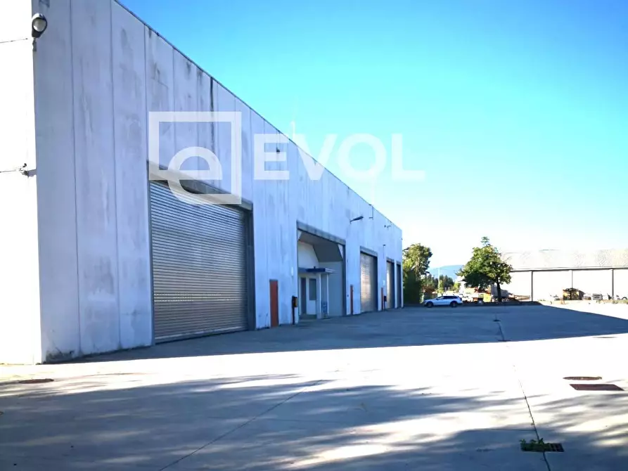 Immagine 5 di Capannone industriale in affitto  in via del Industria a Gorizia