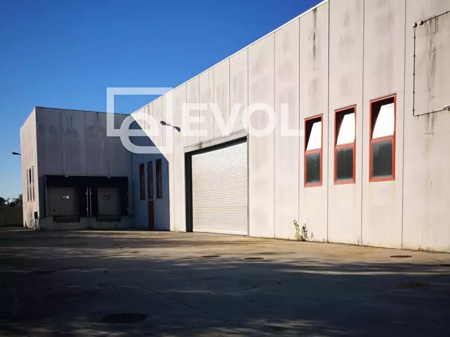 Immagine 8 di Capannone industriale in affitto  in via del Industria a Gorizia