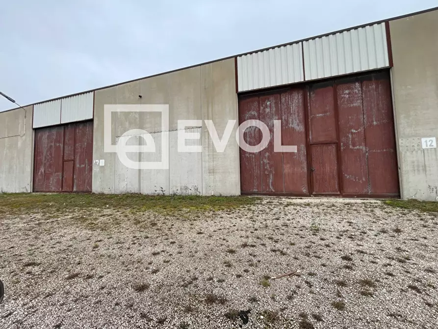 Immagine 7 di Capannone industriale in affitto  in via Valussi a Premariacco