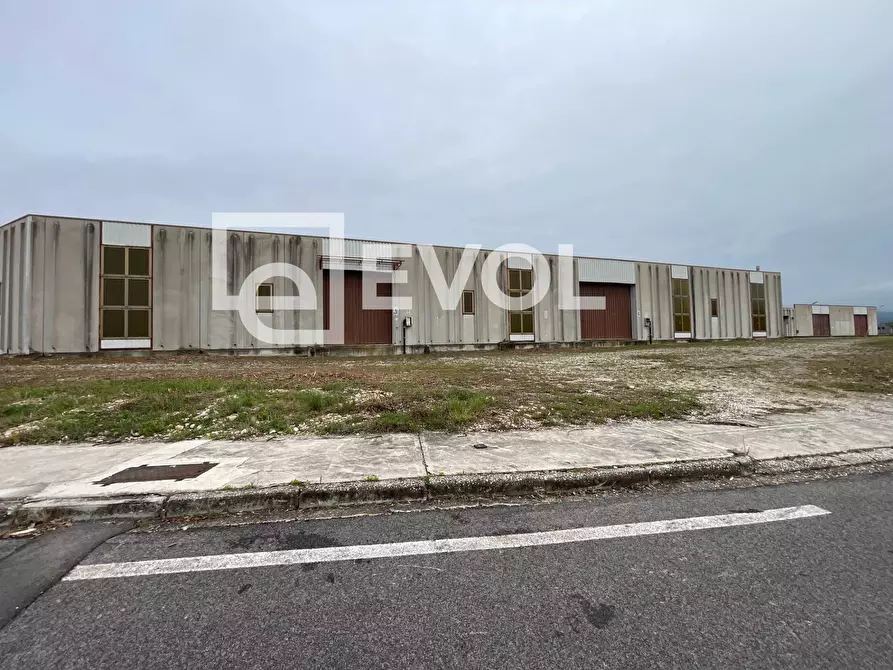 Immagine 9 di Capannone industriale in affitto  in via Valussi a Premariacco