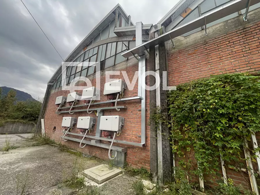 Immagine 11 di Capannone industriale in vendita  in Via GRIALBA a Tolmezzo