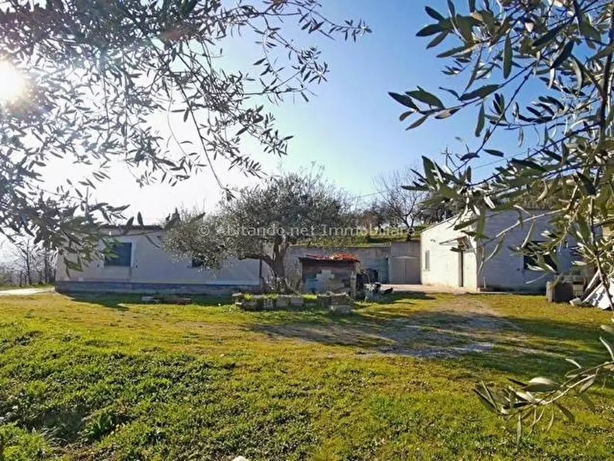 Immagine 1 di Casa indipendente in vendita  in Contrada Fonte Murata a Penne