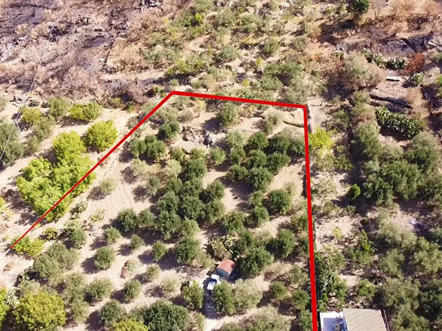 Immagine 20 di Terreno agricolo in vendita  in via ferrovia est a Altofonte