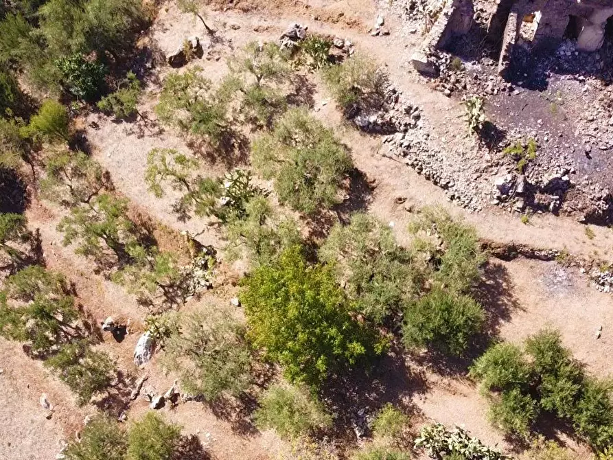 Immagine 22 di Terreno agricolo in vendita  in via ferrovia est a Altofonte