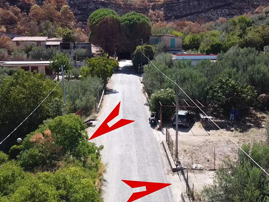 Immagine 24 di Terreno agricolo in vendita  in via ferrovia est a Altofonte