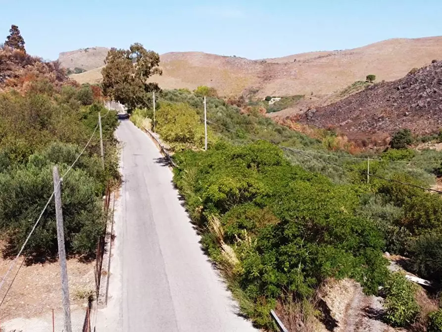Immagine 26 di Terreno agricolo in vendita  in via ferrovia est a Altofonte