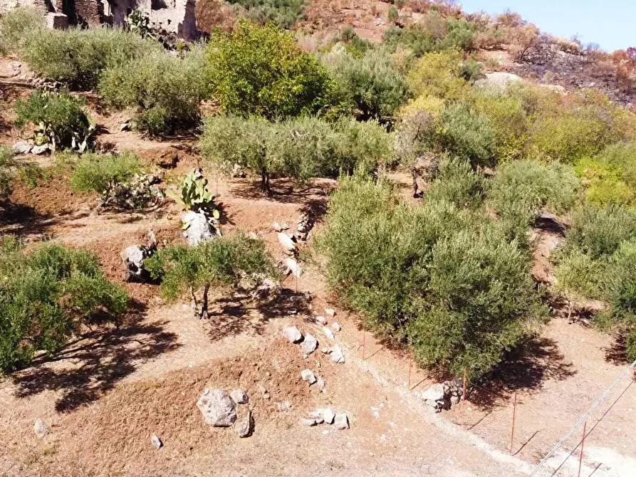 Immagine 27 di Terreno agricolo in vendita  in via ferrovia est a Altofonte
