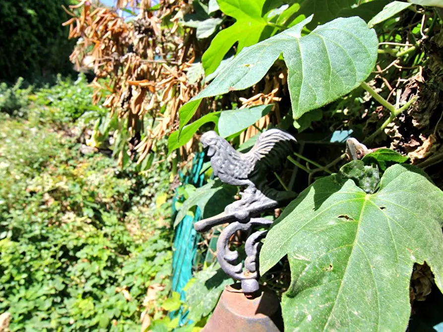 Immagine 16 di Casa indipendente in vendita  in Via Francesco Baracca a Palermo