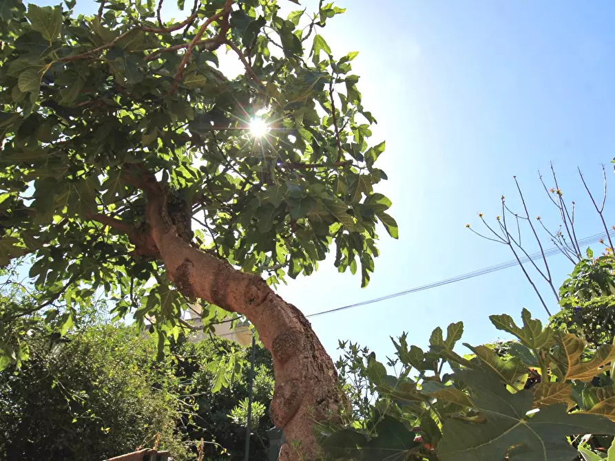 Immagine 18 di Casa indipendente in vendita  in Via Francesco Baracca a Palermo